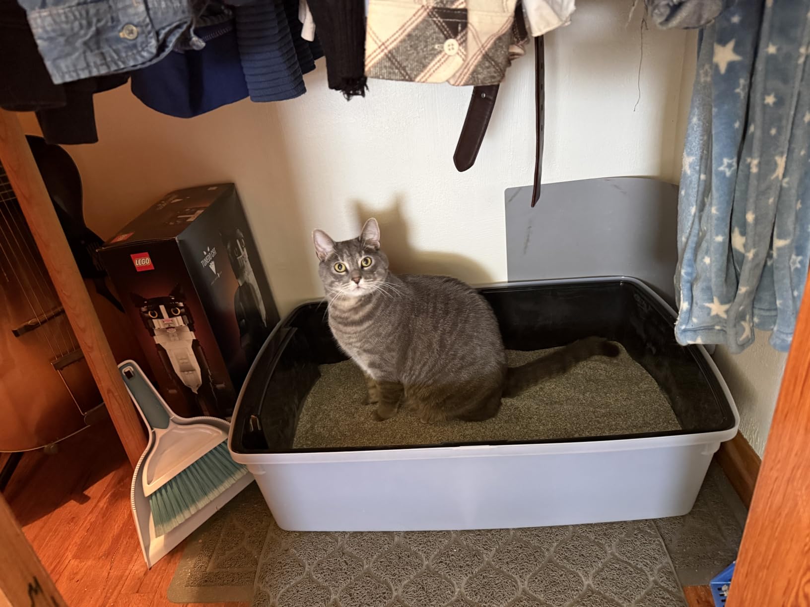IRIS USA XX-Large High Sided Cat Litter Box, Scatter Shield, Black | Multi-Cat Use, Jumbo Capacity Pan, Extended Length Design, Oversized Basin, Multiple Cat Ready, Generous Dimensions customer photo 2