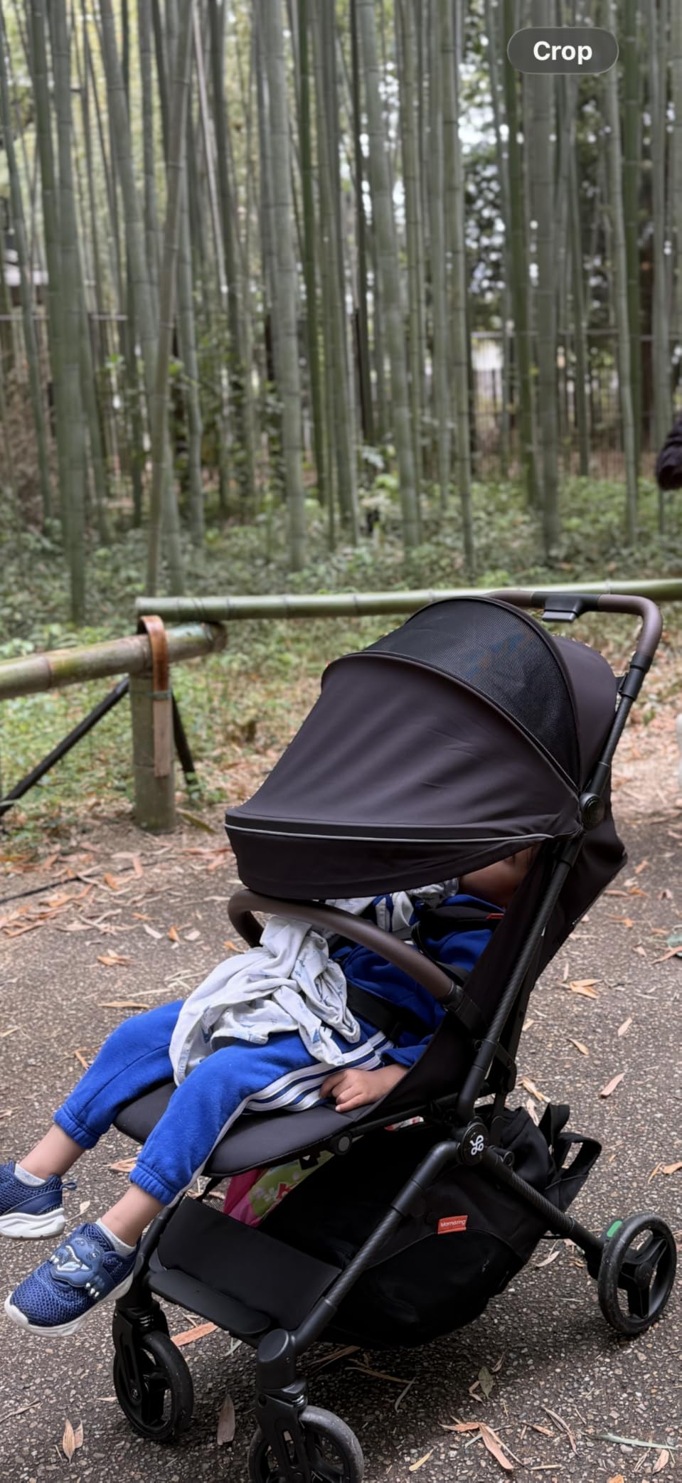 Mamazing Ultra Air Lightweight Baby Travel Stroller with Carbon Fiber Frame customer photo 1