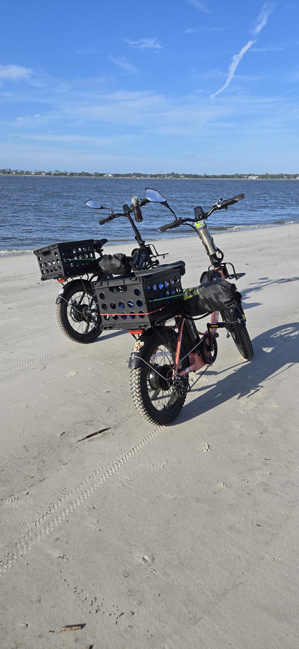 ENGWE 1125W Electric Bike for Adults, L20 2.0 20''x3.0