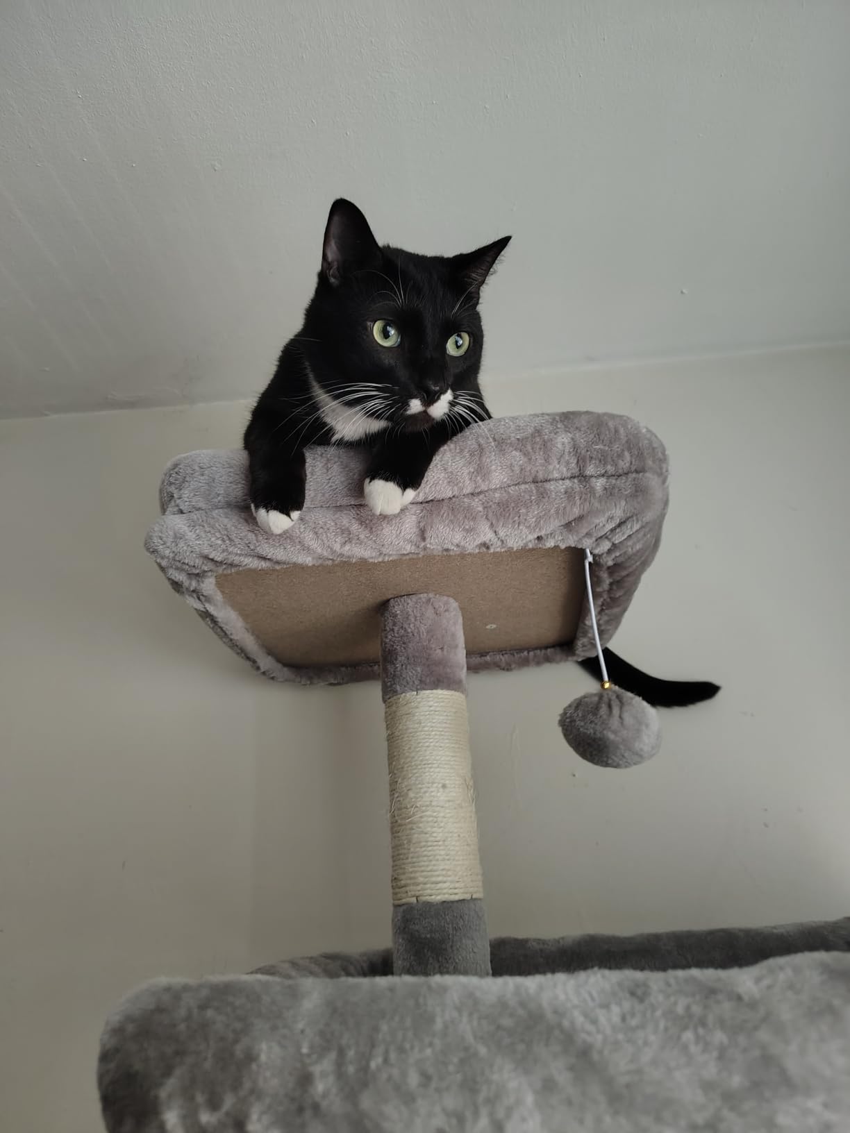 Globlazer Giant Cat Tree for Indoor Large Cats, 83in, F83, Dark Grey | XXL Cat Tower with 9 Scratching Posts for 20lb+ Heavy Duty Large Adult Cats customer photo 1