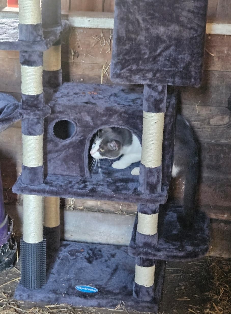 Hey-brother Cat Tree, Multi-Level Tower with 3 Condos, Hairbrush, MPJ035-MG | 74 Inches XL Large Scratching Posts for Indoor Cats and Kittens, 2 Wide Platforms, 2 Plush Baskets, Toy Balls, Smoky Gray customer photo 2