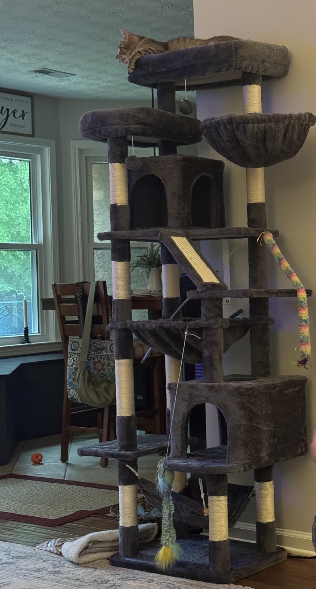 Heybly Cat Tree, 71-Inch-Tall Tower for Indoor Cats with 2 Perches HCT034G | Large Cat Furniture with 2 Big Condos, 2 Hammocks, Basket, Scratching Pad, Multi-Level Cat Condo, Smoky Gray customer photo 2