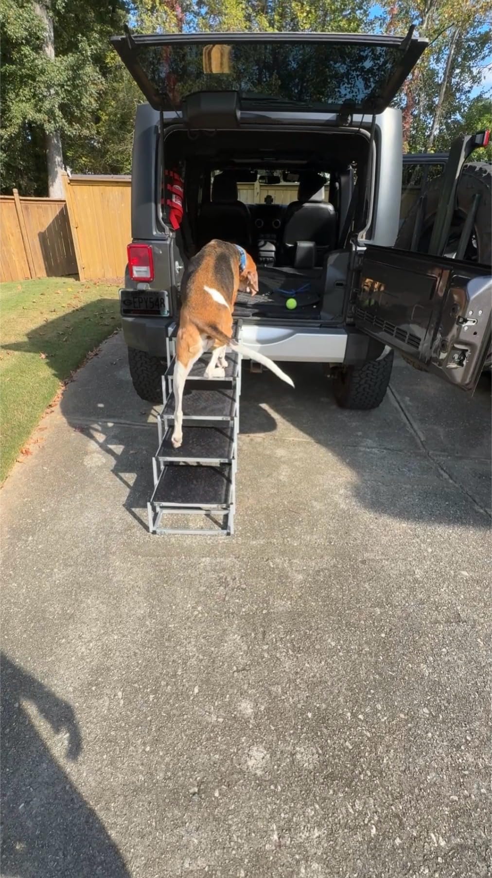 Deergym Dog Stairs for Large Dogs - 5 Step Wide 16in High 34in Foldable Dog Ramp for Car Non-Slip Surface Support up to 230lbs - Suitable for SUV, Truck, Sofas, Bed customer photo 1