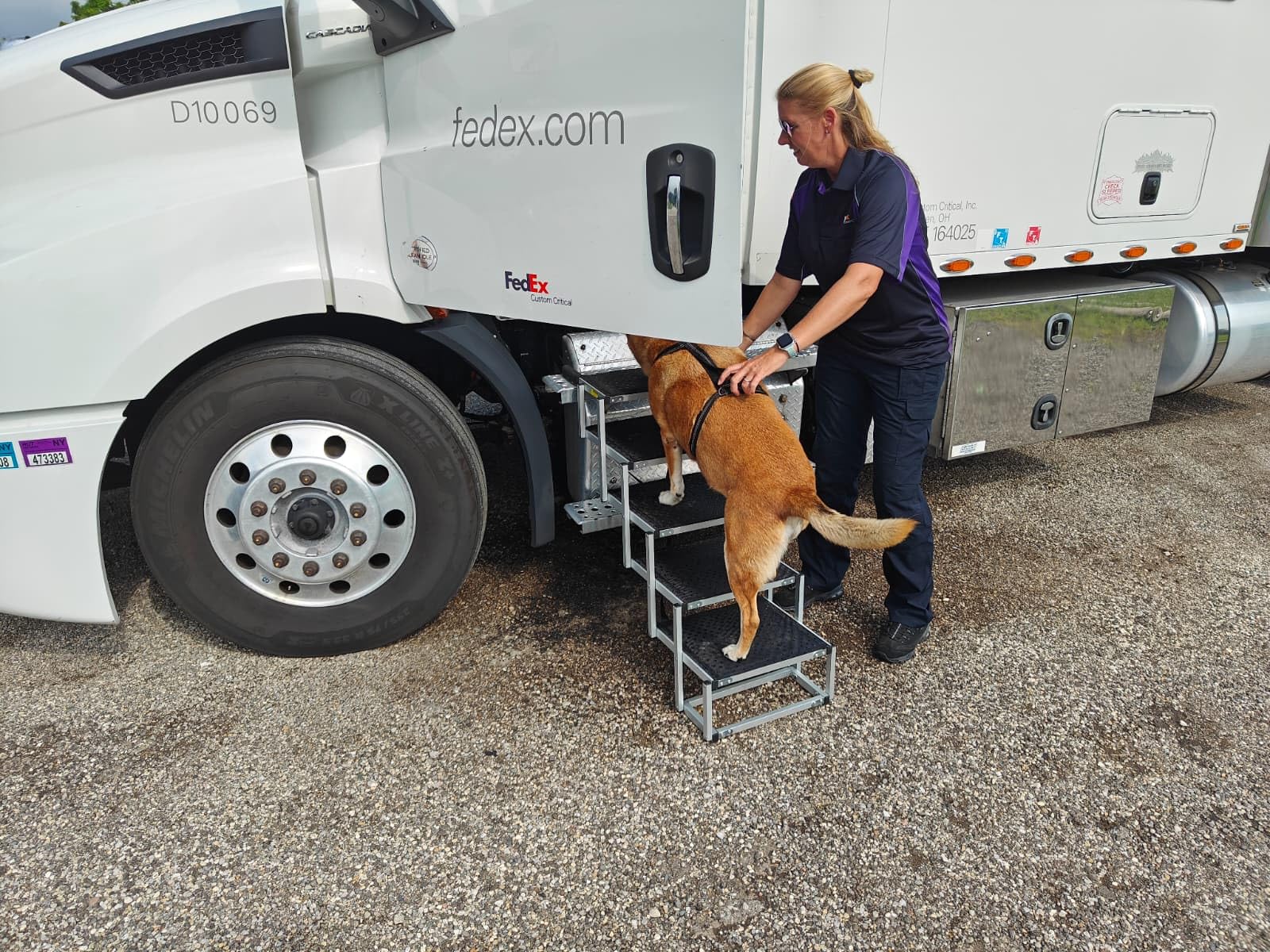 Deergym Dog Stairs for Large Dogs - 5 Step Wide 16in High 34in Foldable Dog Ramp for Car Non-Slip Surface Support up to 230lbs - Suitable for SUV, Truck, Sofas, Bed customer photo 2