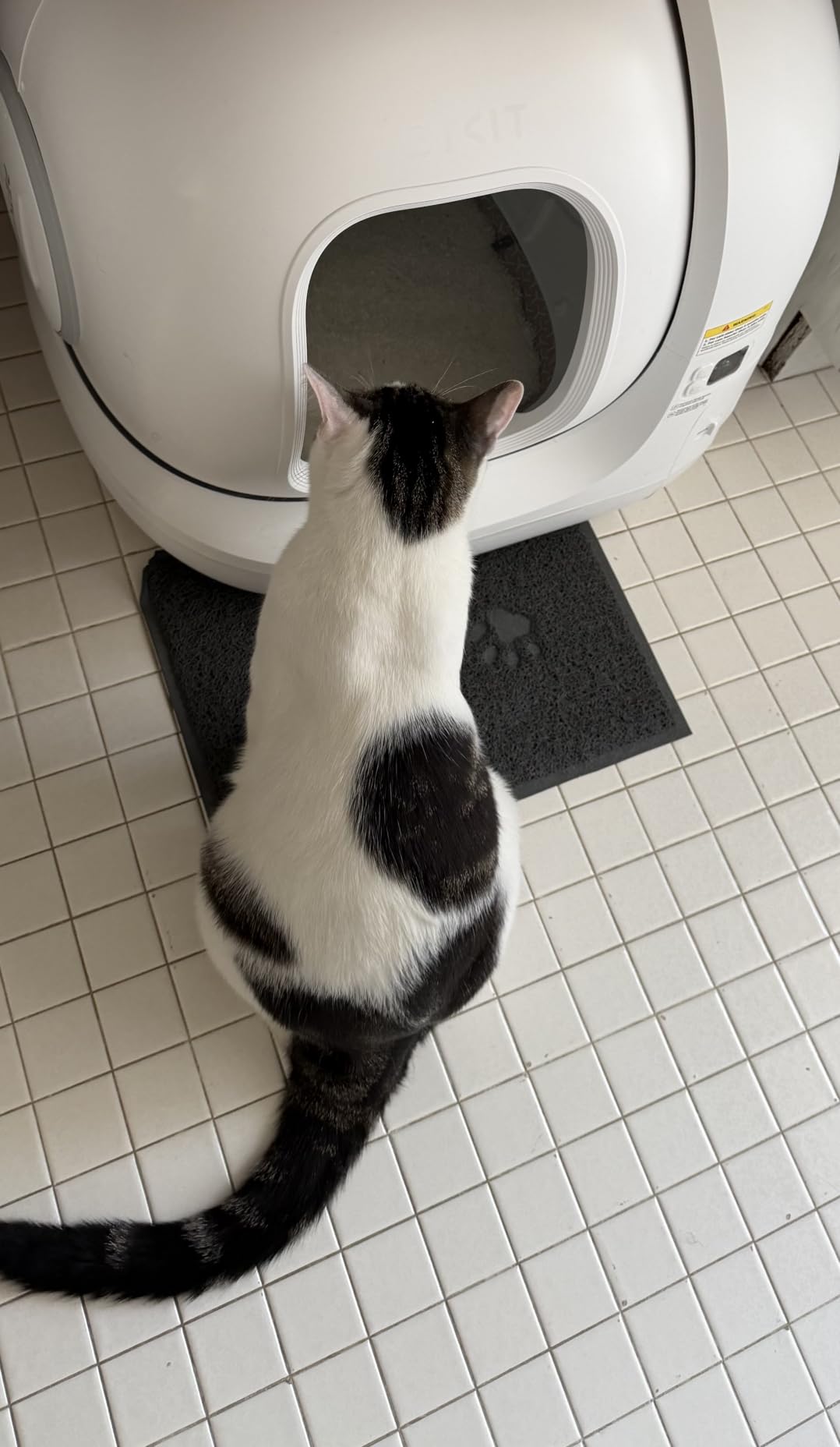 PETKIT PuraMax 2 Odor Free Automatic Cat Litter Box,with 2-Year Coverage | Anti-Leakage,Low Entrance&for Multi-Cat Homes,App Control,Always-Open & Anti-Pinch Design,Safety Sensors,with Trash Bags&N50 customer photo 1