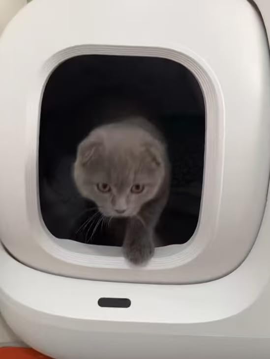 PETKIT PuraMax 2 Odor Free Automatic Cat Litter Box,with 2-Year Coverage | Anti-Leakage,Low Entrance&for Multi-Cat Homes,App Control,Always-Open & Anti-Pinch Design,Safety Sensors,with Trash Bags&N50 customer photo 2