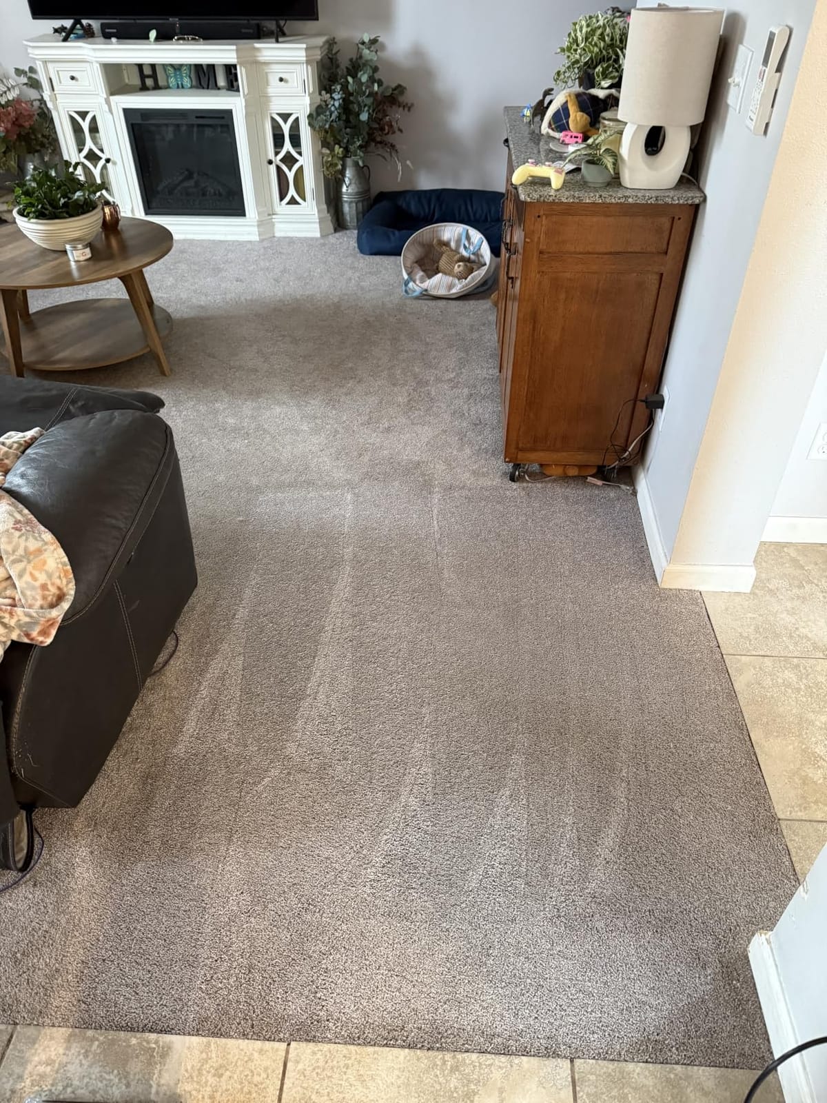 BISSELL TurboClean Upright Carpet Cleaner, OXY Formula, 3952 | Pro Max Clean & Protect formula; Oxy Urine Eliminator included; powerful upright carpet cleaning customer photo 2