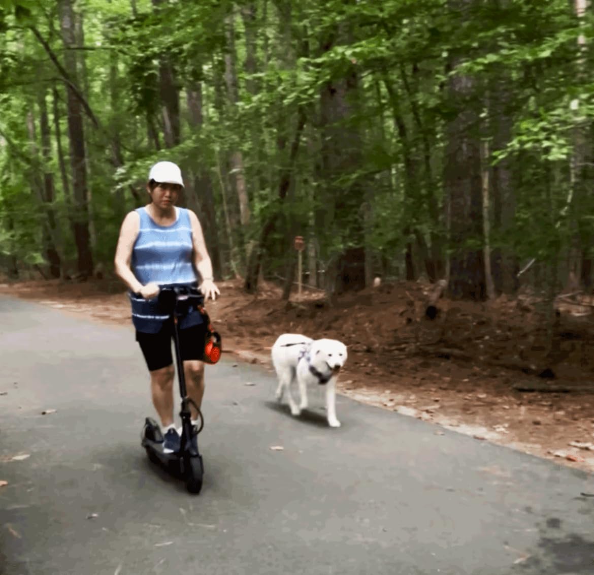 iScooter Electric Scooter for Adults, Foldable E-Scooter for Commuting | Cruise control, Smart App, dual braking, LED lights, and easy folding for daily commuting, campus travel and city rides customer photo 1