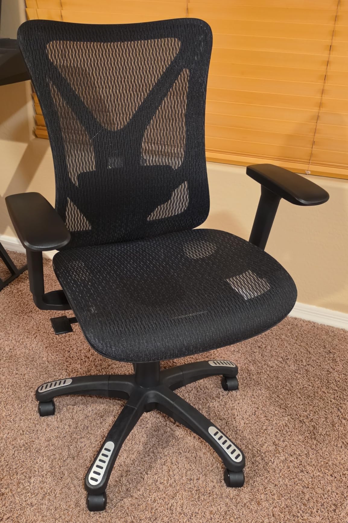 Ergonomic Office Chair, Mesh Computer Desk Chairs with BIFMA X5.1 Certified, Adjustable Lumbar Support, 3D Arm, Tilt Back, Wide Seat, Comfy Swivel Work Task Chair for Company and Home (Obsidian Black) customer photo 2