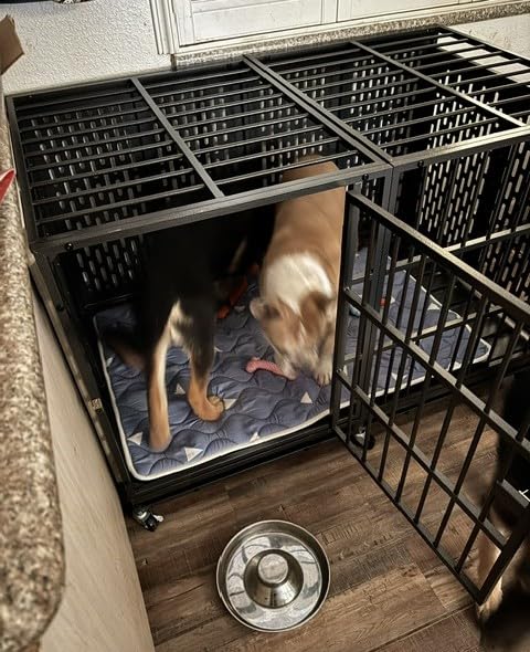 Snuowu 38 Inch Heavy Duty Dog Crate with Wheels, Folding Metal Big Dog Cage for Large and Medium Dogs, Extra Large XL XXL Indestructible Dog Crate with Removable Tray customer photo 1