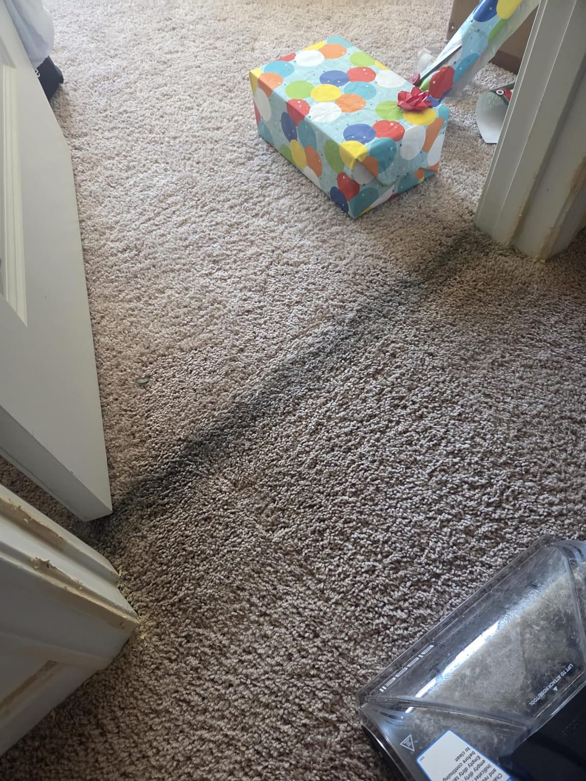BISSELL Revolution HydroSteam Carpet Cleaner, 4123 | HydroSteam technology; 4-in. self-cleaning tough stain tool; formulas included; upright deep cleaner customer photo 2