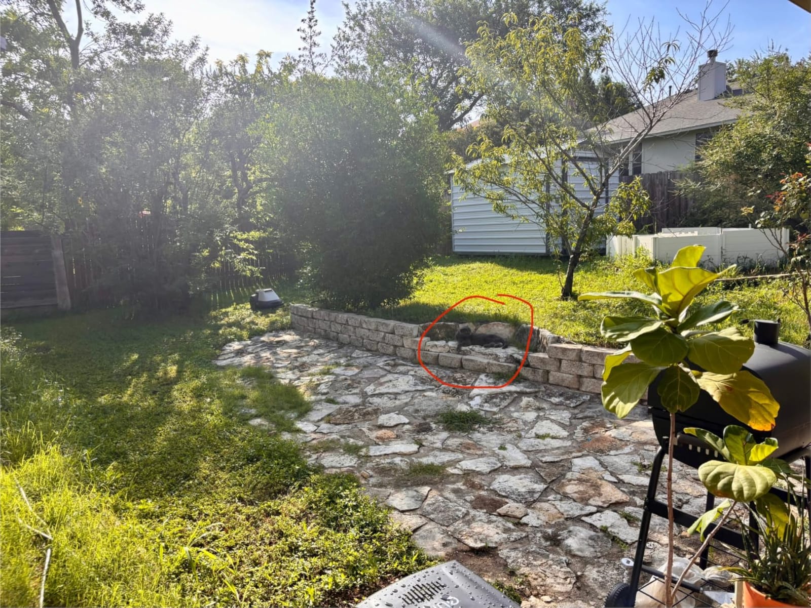 eufy Robot Lawn Mower E15, Auto Mapping, Pure Vision Navigation customer photo 2