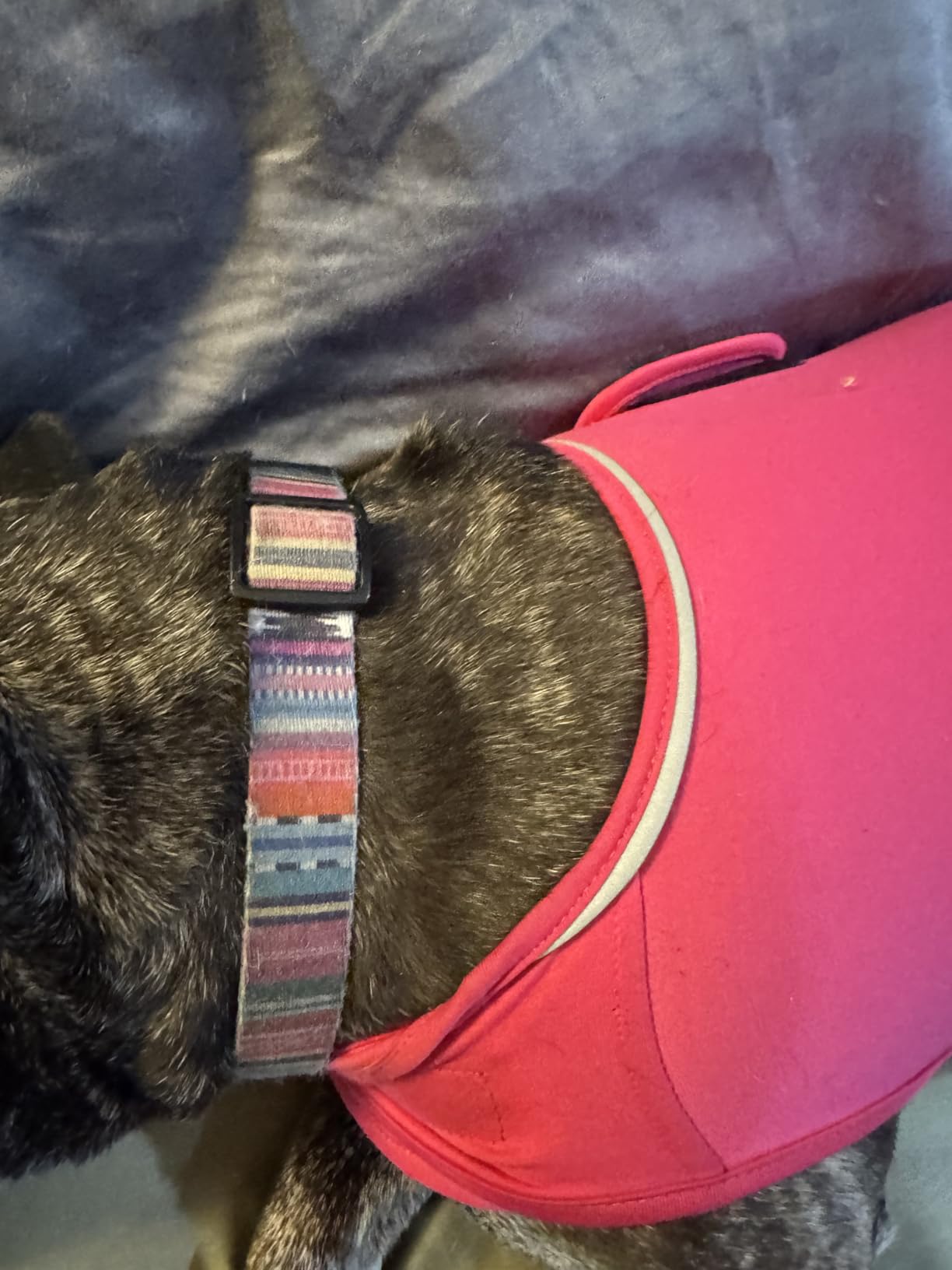 Meifsou Dog Anxiety Vest, Skin-Friendly Thunder Jacket for Dogs, Dog Calming Shirt for Thunder, Fireworks, Vet Visits and Separation - Keep Pet Calm Without Medicine, Fit for Small Medium Large Dogs customer photo 2