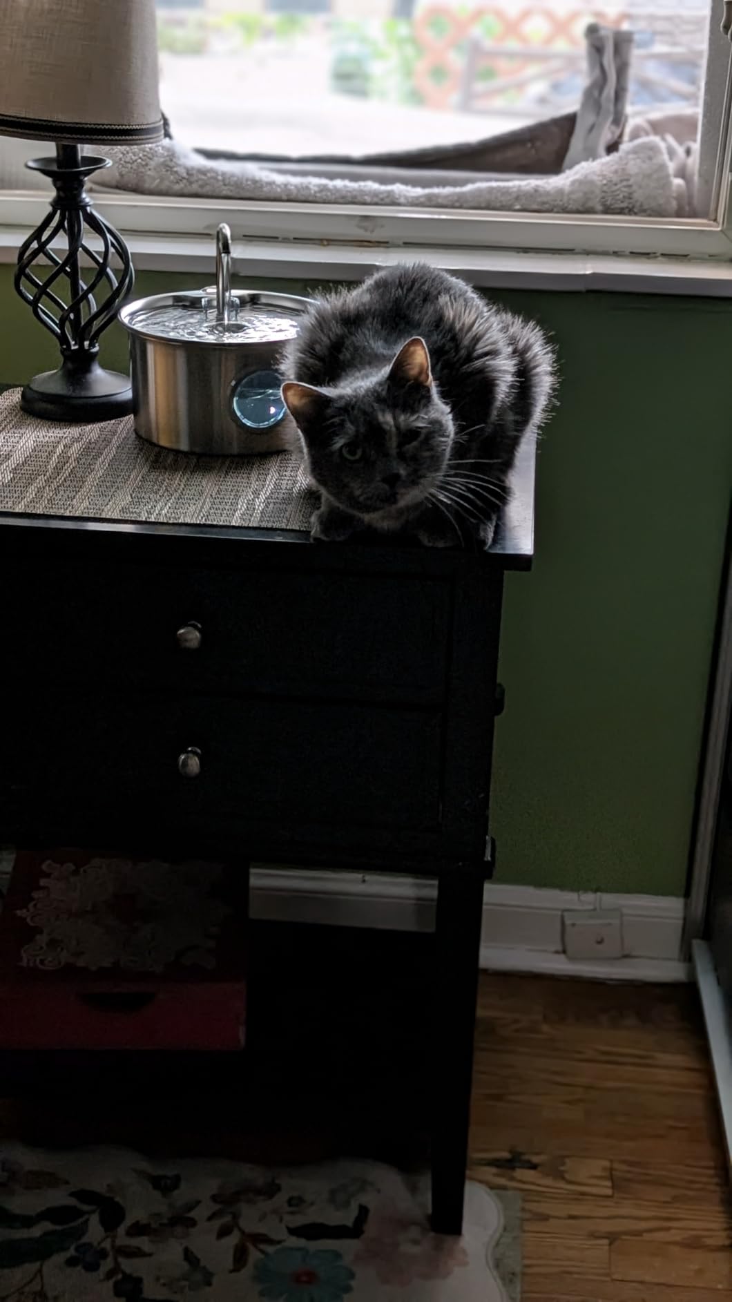 Cat Water Fountain Stainless Steel: Cat Fountain for Drinking - 88oz/2.6L Pet Water Fountain for Cats Indoor - Quiet Cats Water Bowl Dispenser - Pets Feeding & Watering Supplies - for Small Animals customer photo 1