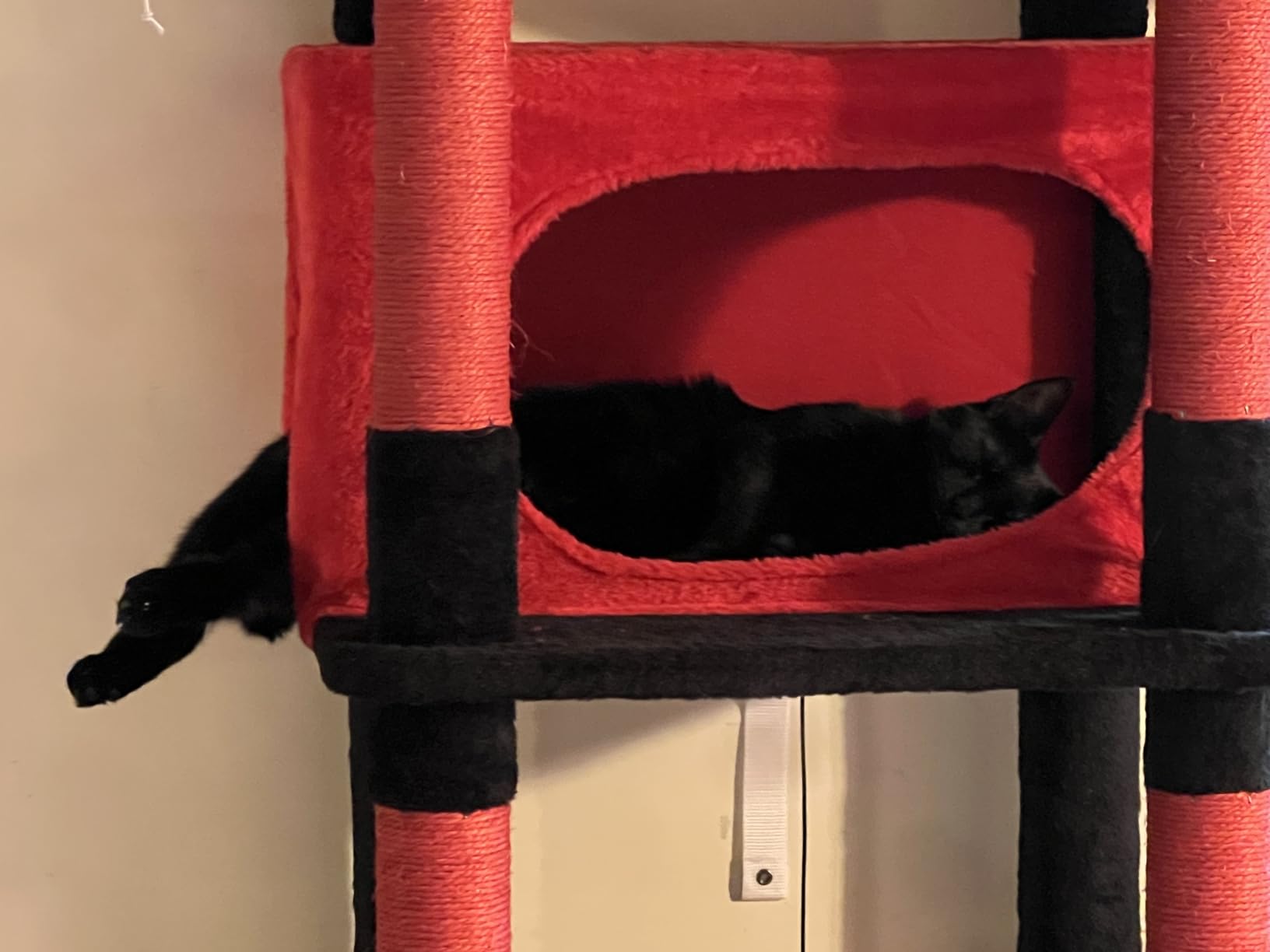 Globlazer Giant Tall Heavy Duty Cat Tower for Indoor Large Cats, F83B | XXL Multi-Level Large Cat Condo with 8 Scratching Posts, Hammock, 2 Cat Caves, 2 Platform, Dark Grey customer photo 2