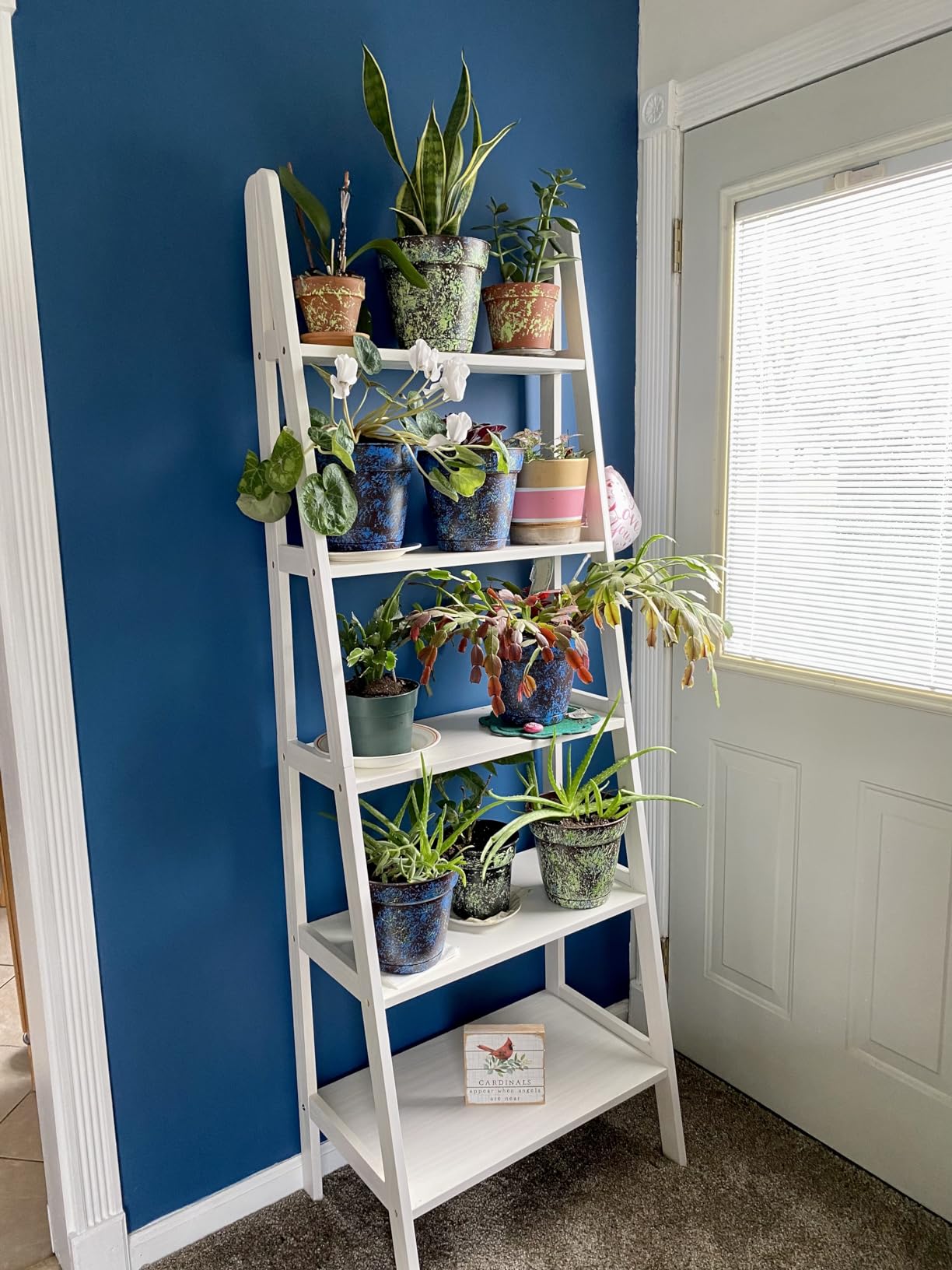 Casual Home 100% Solid Wood 5-Shelf Ladder Bookcase, Standard, 72