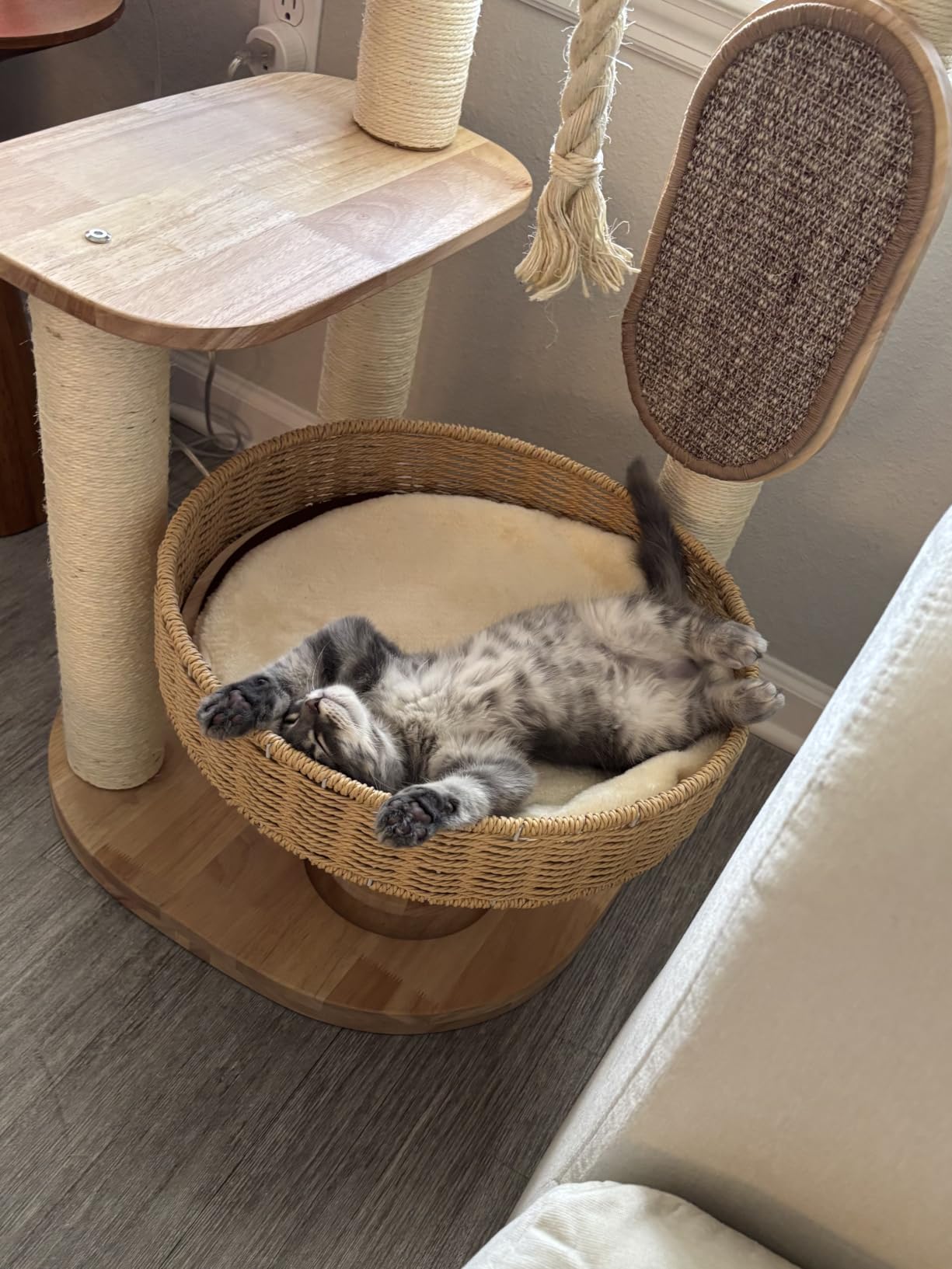 49.6in Solid Wood Cat Tree for Large Cat, Modern Tall Cat Tower customer photo 1