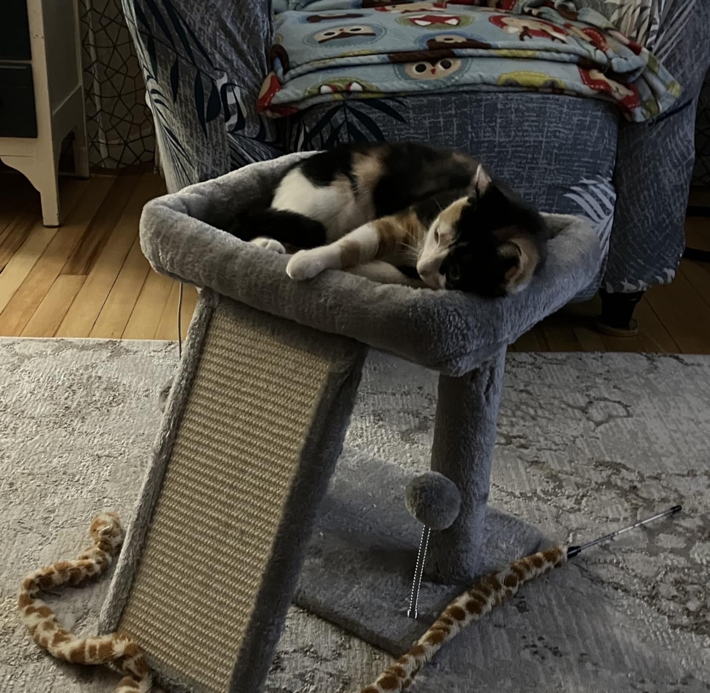 17.1-inch Small Cat Tree Tower with Scratching Post for Indoor Cats, Grey customer photo 1