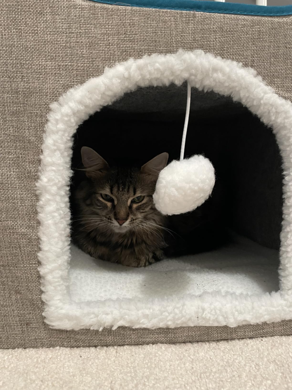 Bedsure 3-Level Cat Tree for Indoor Cats with Scratching Post,Grey customer photo 1