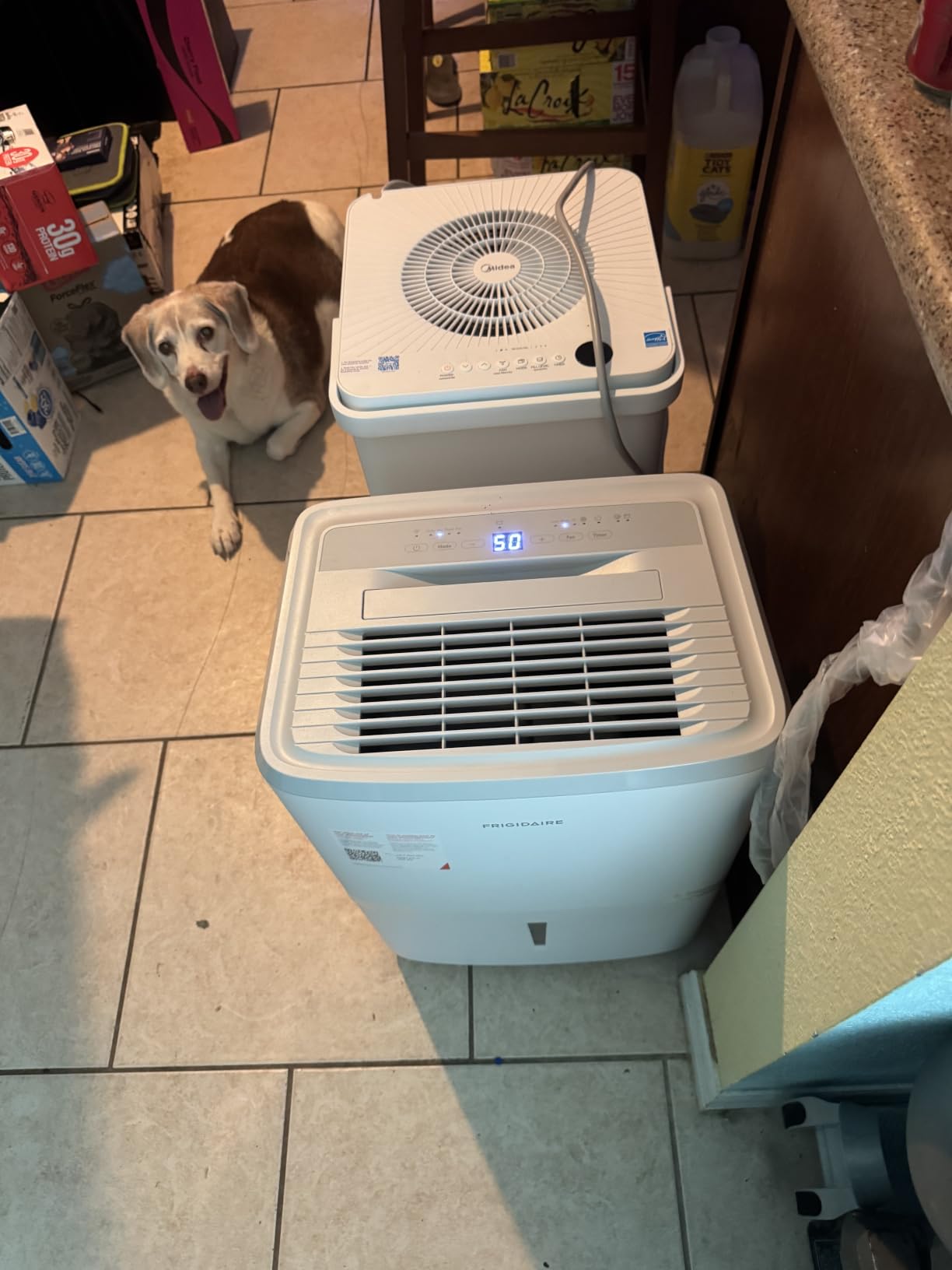 Frigidaire 50 Pint Dehumidifier w/Wifi customer photo 2