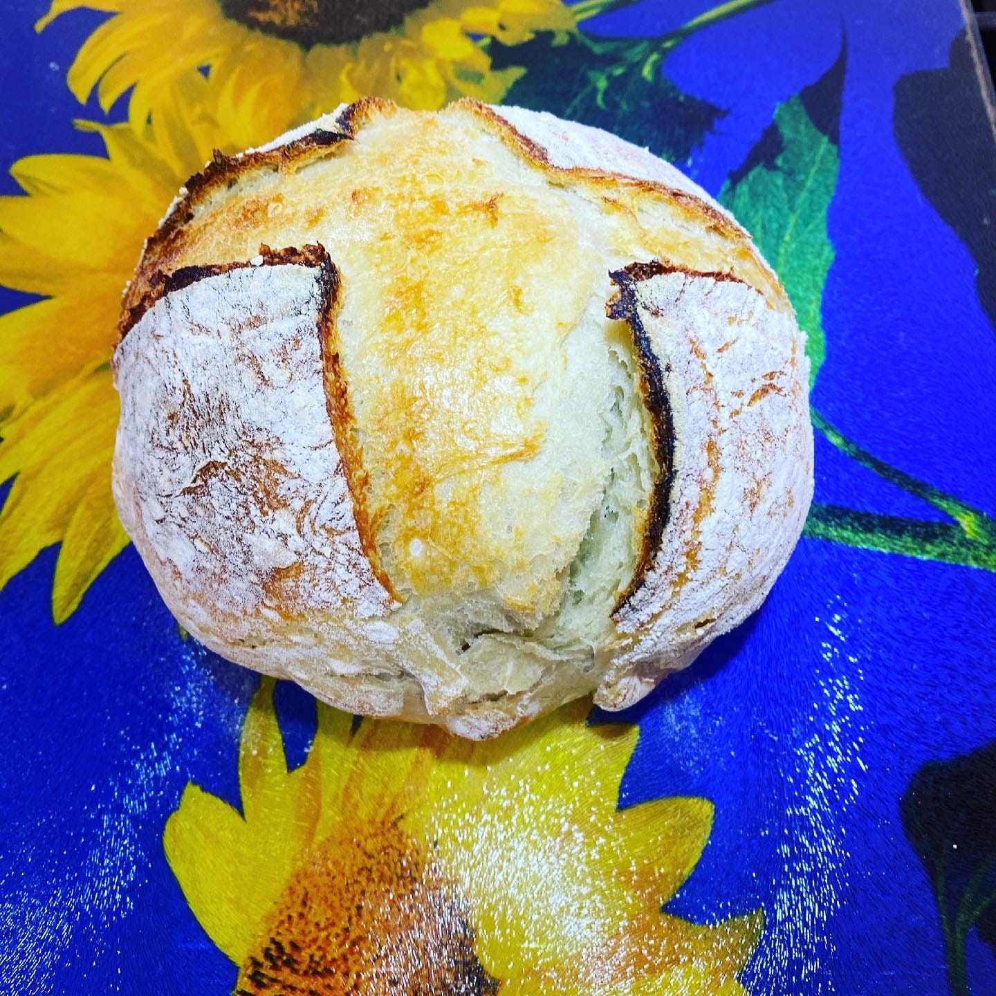 KBS 19-in-1 Programmable Bread Maker, 2.2LB with Healthy Ceramic Pan, Stainless Steel customer photo 1