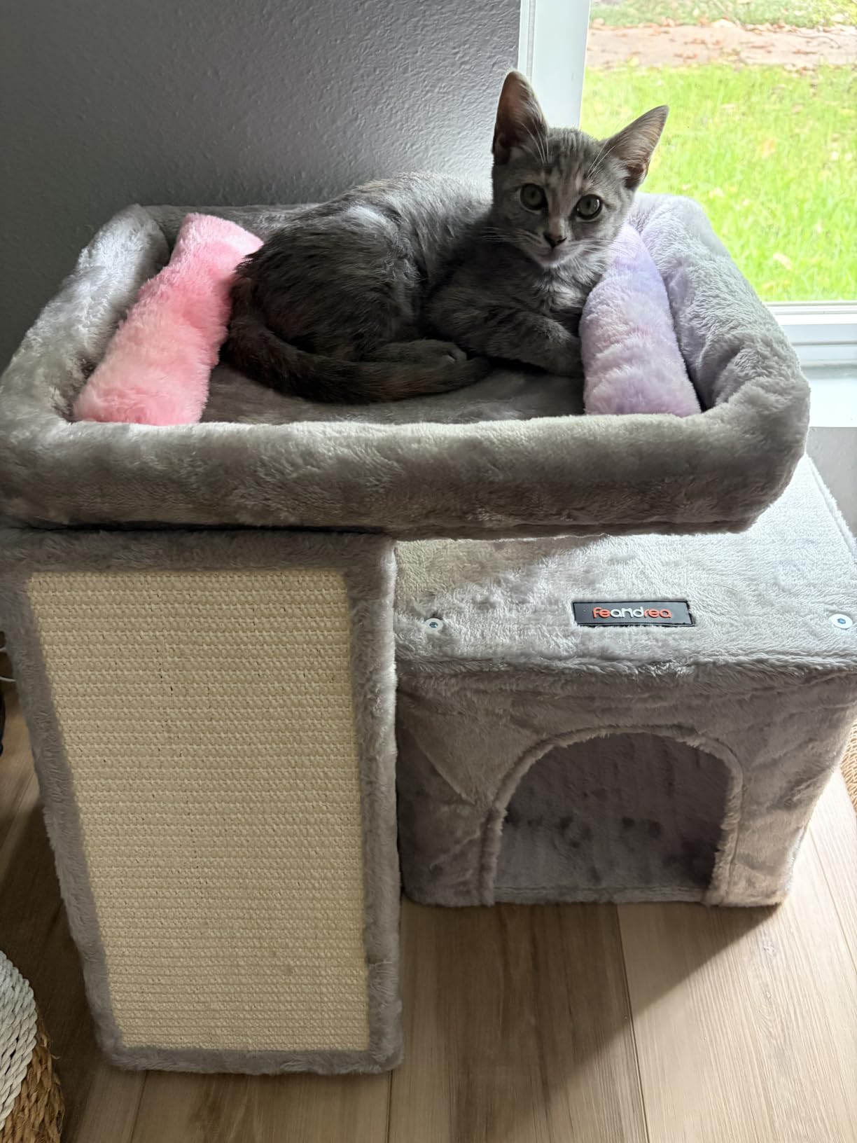 Feandrea Cat Tree, 18.3-in Small Cat Tower, Cute Kittens Condo, Dove Gray | for Small Space Room, with Sisal Scratching Post & Board, Large Padded Perch, Spacious Cave, Easy to Assemble customer photo 1