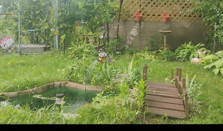 1 Pack Solar Watering Can Lantern, Hanging Light Outdoor Waterproof, Hanging Lantern Decorative, Garden Decoration Gift for Women Mom customer photo 2