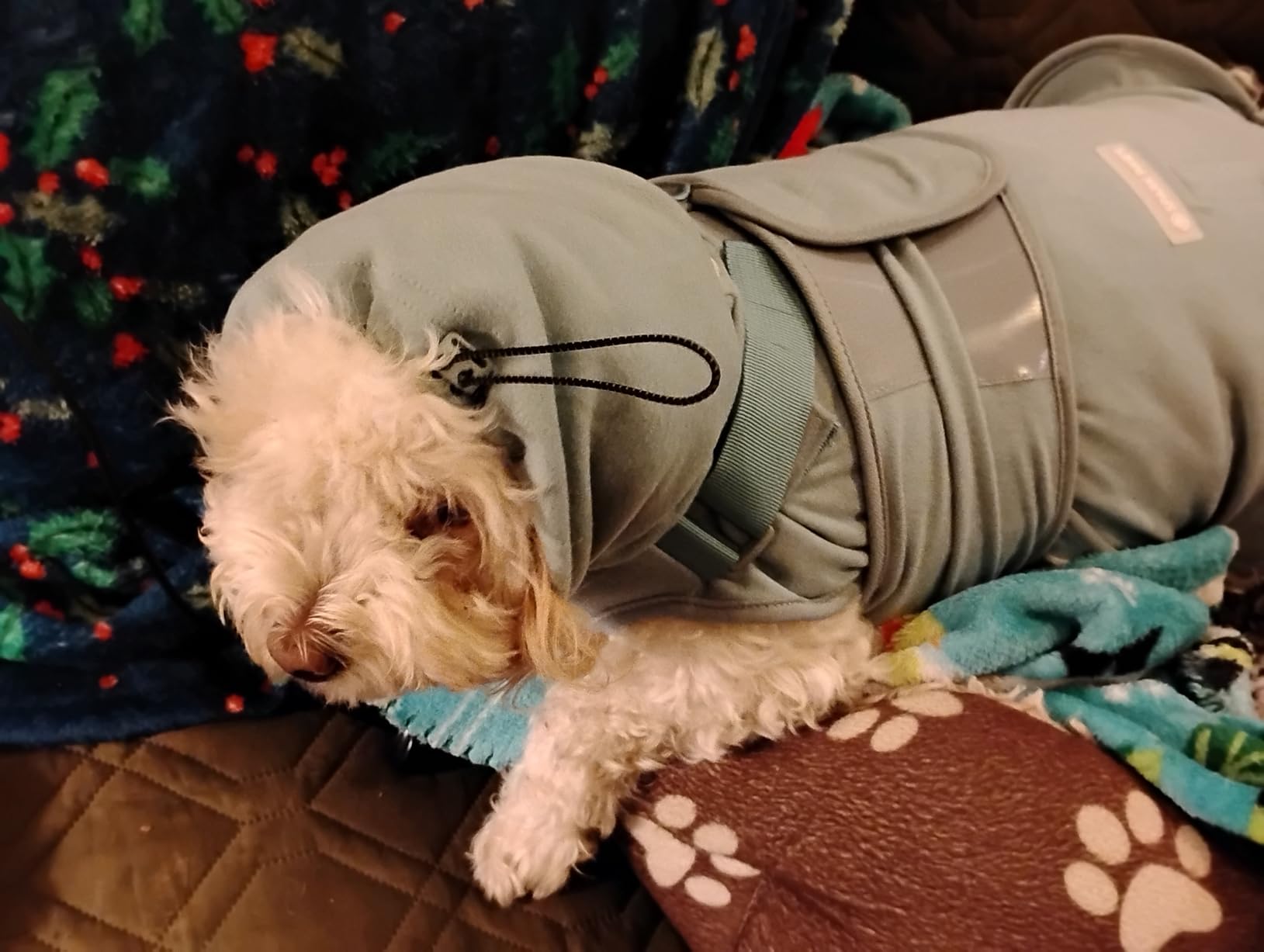 Spark Paws Anxiety Relief Vest for Dogs, Gentle Compression Dog Anxiety Suit customer photo 2