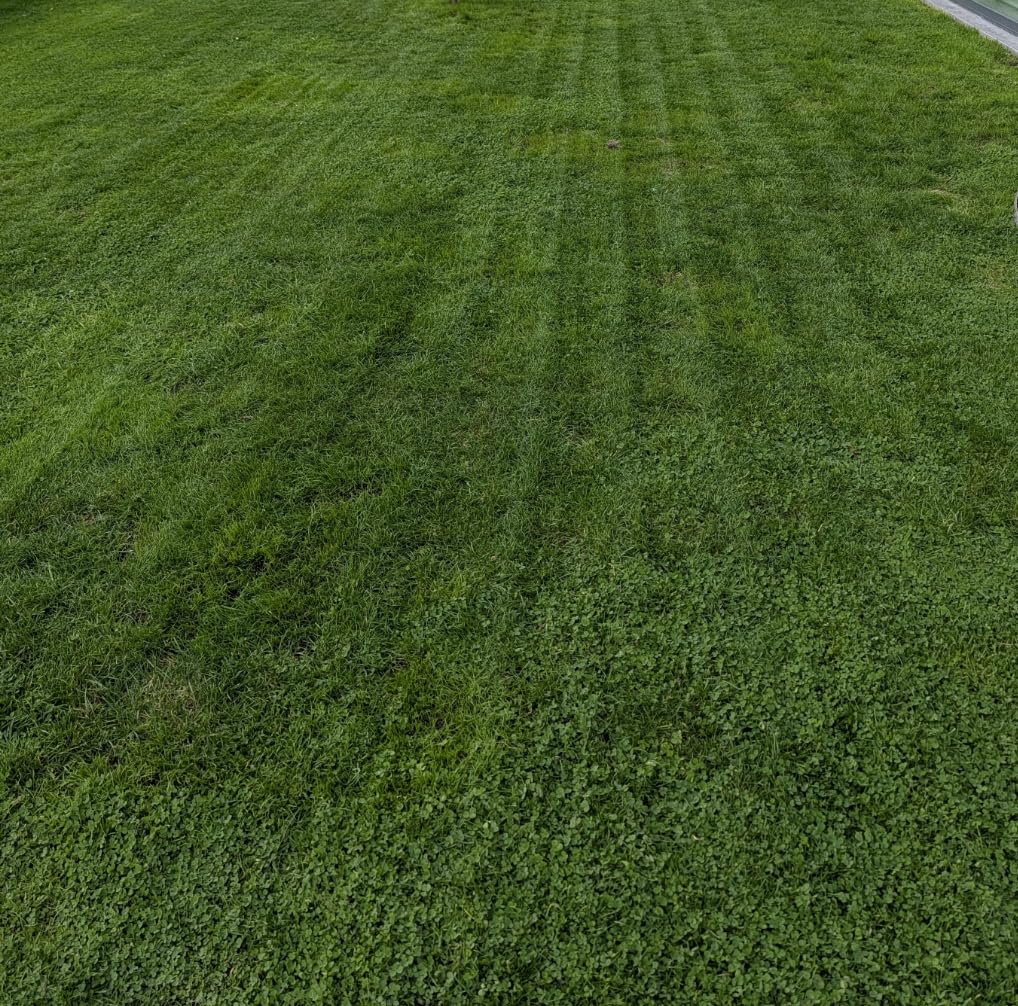 MOVA LiDAX Ultra 1000 Robot Lawn Mower Wire Free for 1/4 Acre, RTK-Free+360° 3D LiDAR+AI Vision Auto Mapping, Zero-Edge Cutting, Cutting Height 1.2