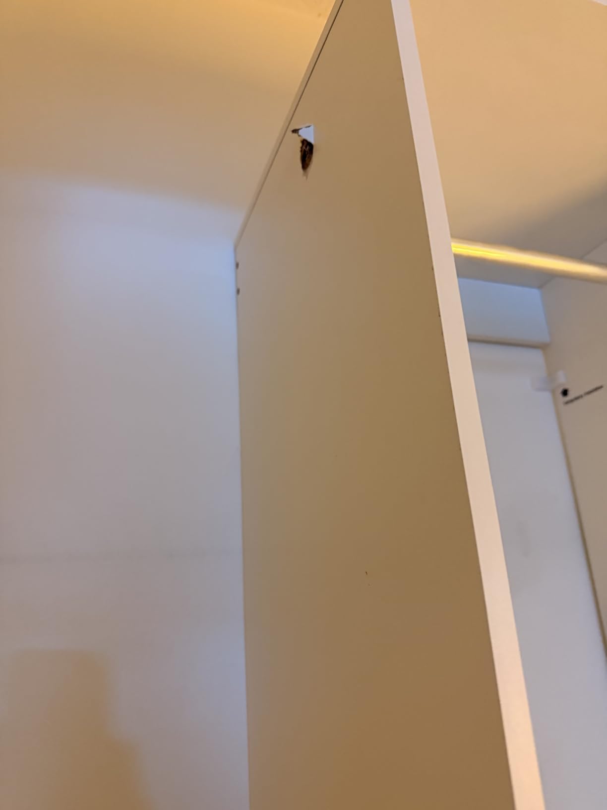 SONGMICS Closet System, Customizable Walk-In Closet Organizer System | Fits Spaces 6.5-10.2 ft with Adjustable Hanging Rods and Drawers, White, CUSTOS Collection URGR043WZ01S customer photo 1