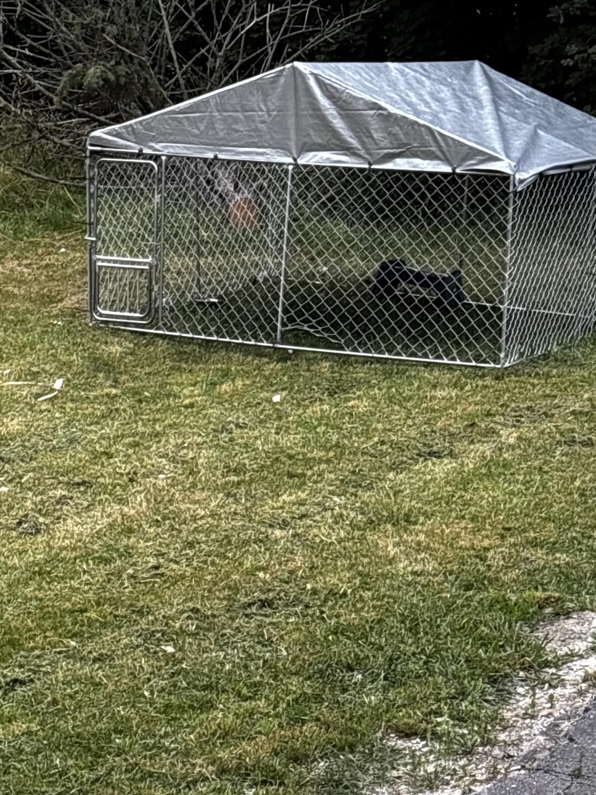 DWVO 10'x10' Outdoor Dog Enclosure with Roof | Dog Kennel Outside with Metal Gate, Dog House Large Dogs for Yard customer photo 2