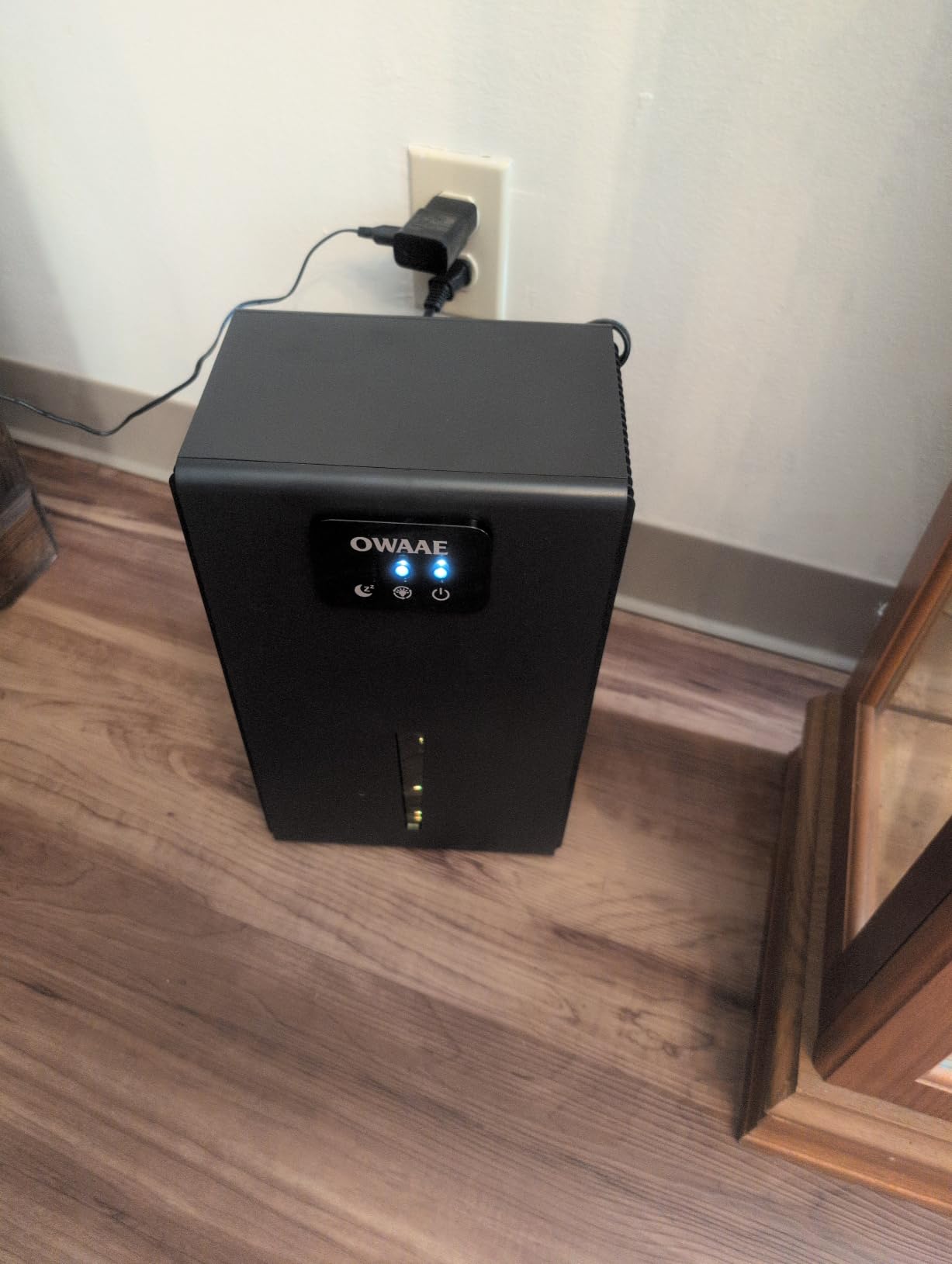 Dehumidifier for Home with Auto Shutoff Sleep Mode, 1000 Sq Ft customer photo 1
