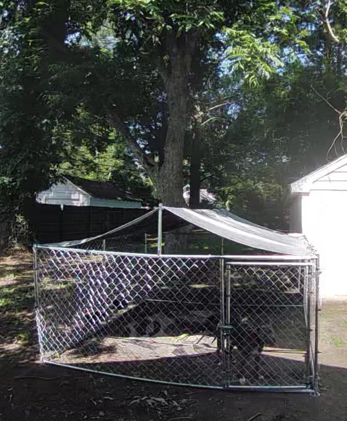 YITAHOME 7.5'x7.5' Outdoor Dog Kennel with Metal Dog Gate | Outdoor Dog Pens with Roof, Heavy Duty Dog Kennel for Backyard Farm Use customer photo 2