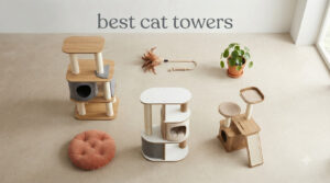 best cat towers