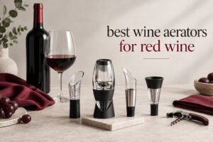 best wine aerators for red wine