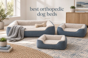 best orthopedic dog beds