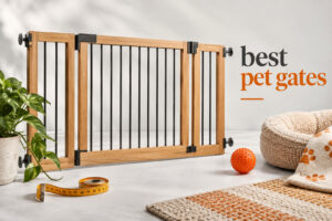 best pet gates