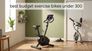 best budget exercise bikes under 300