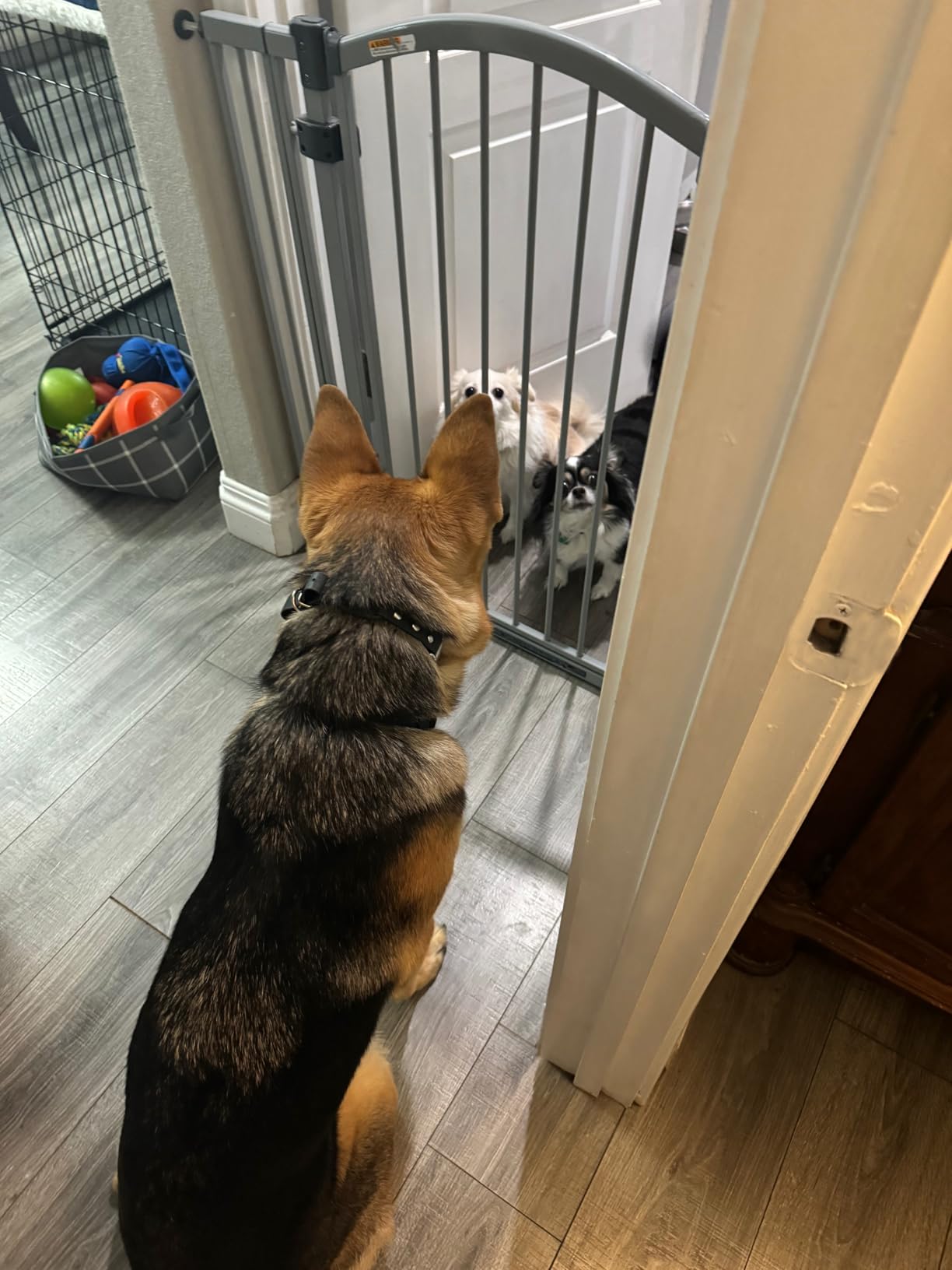 Ingenuity Decorative Extra Tall Baby Gate & Dog Gate, 28.5