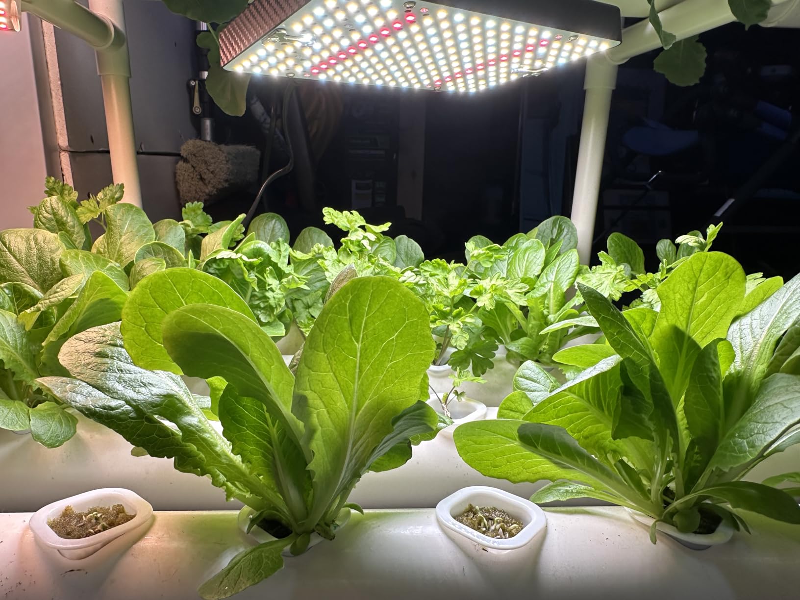 FoxFarm Grow Big Hydroponic Plant Food - 3-2-6 Liquid Plant Fertilizer for Lush Vegetative Growth in Hydroponic Systems - Liquid Concentrate with Earthworm Castings & Micronutrients - 1 Pint customer photo 2