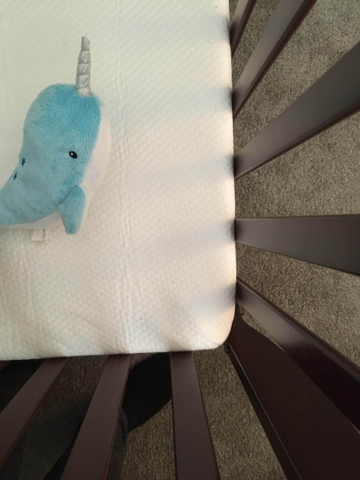 Graco Premium Foam Baby Crib & Toddler Bed Mattress customer photo 2