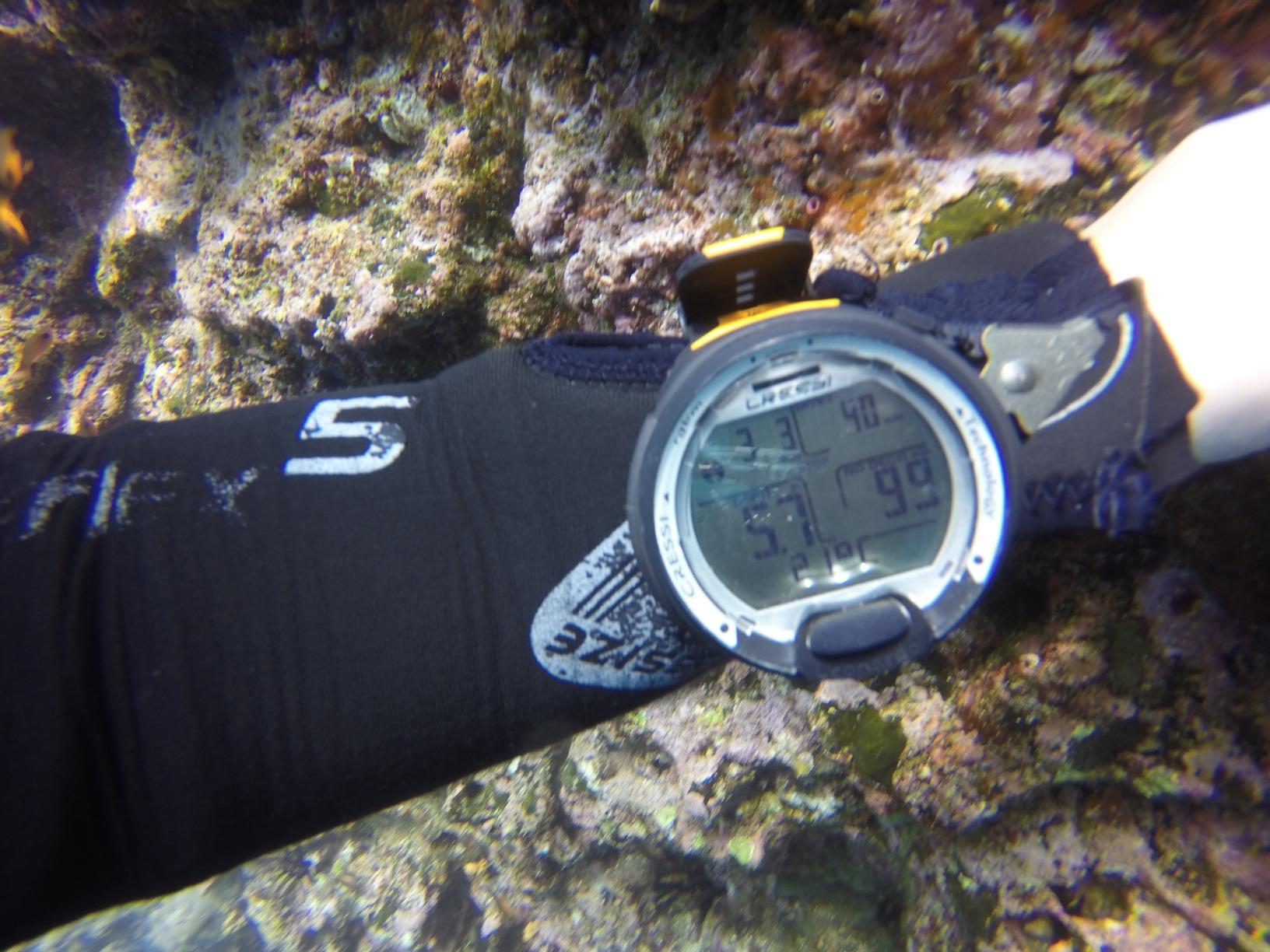 CRESSI Leonardo 2.0 Scuba Dive Watch, Single-Button Air Nitrox Gauge, Black customer photo 1