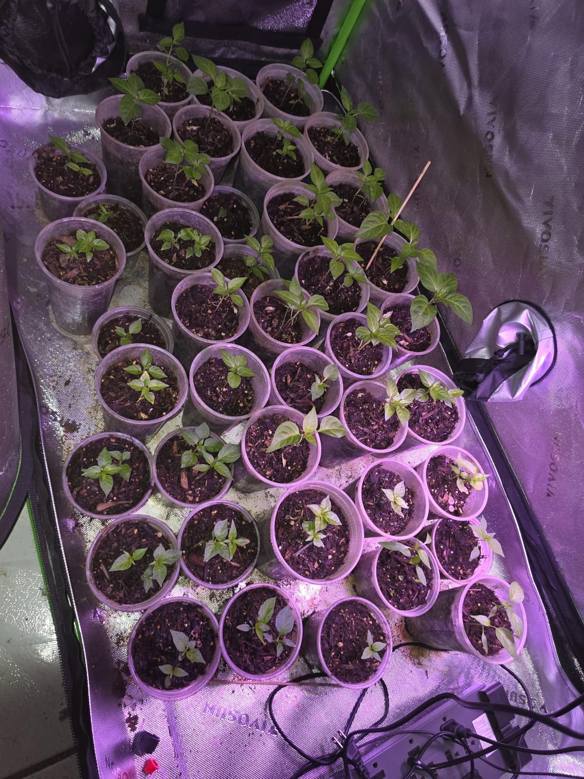 VIVOSUN S326 3x2 Grow Tent 36