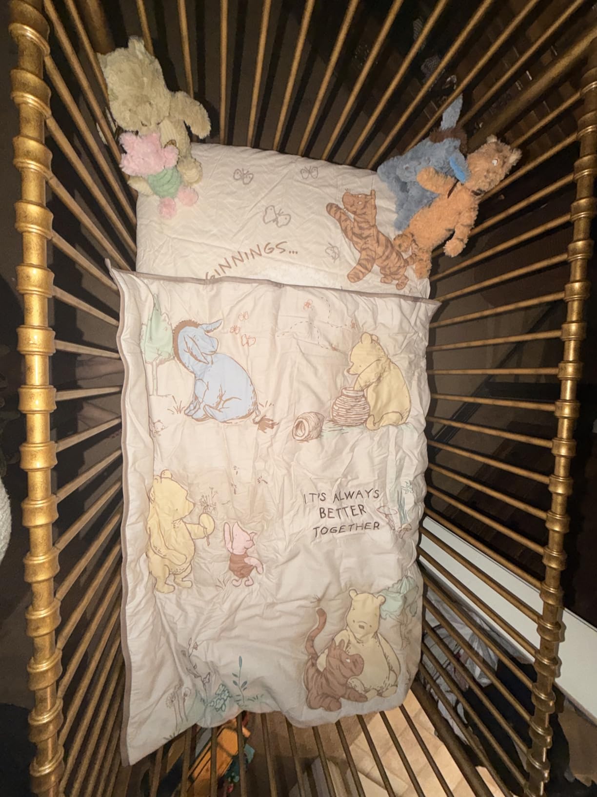 NAMESAKE Abigail 3-in-1 Convertible Baby Crib Gold customer photo 2