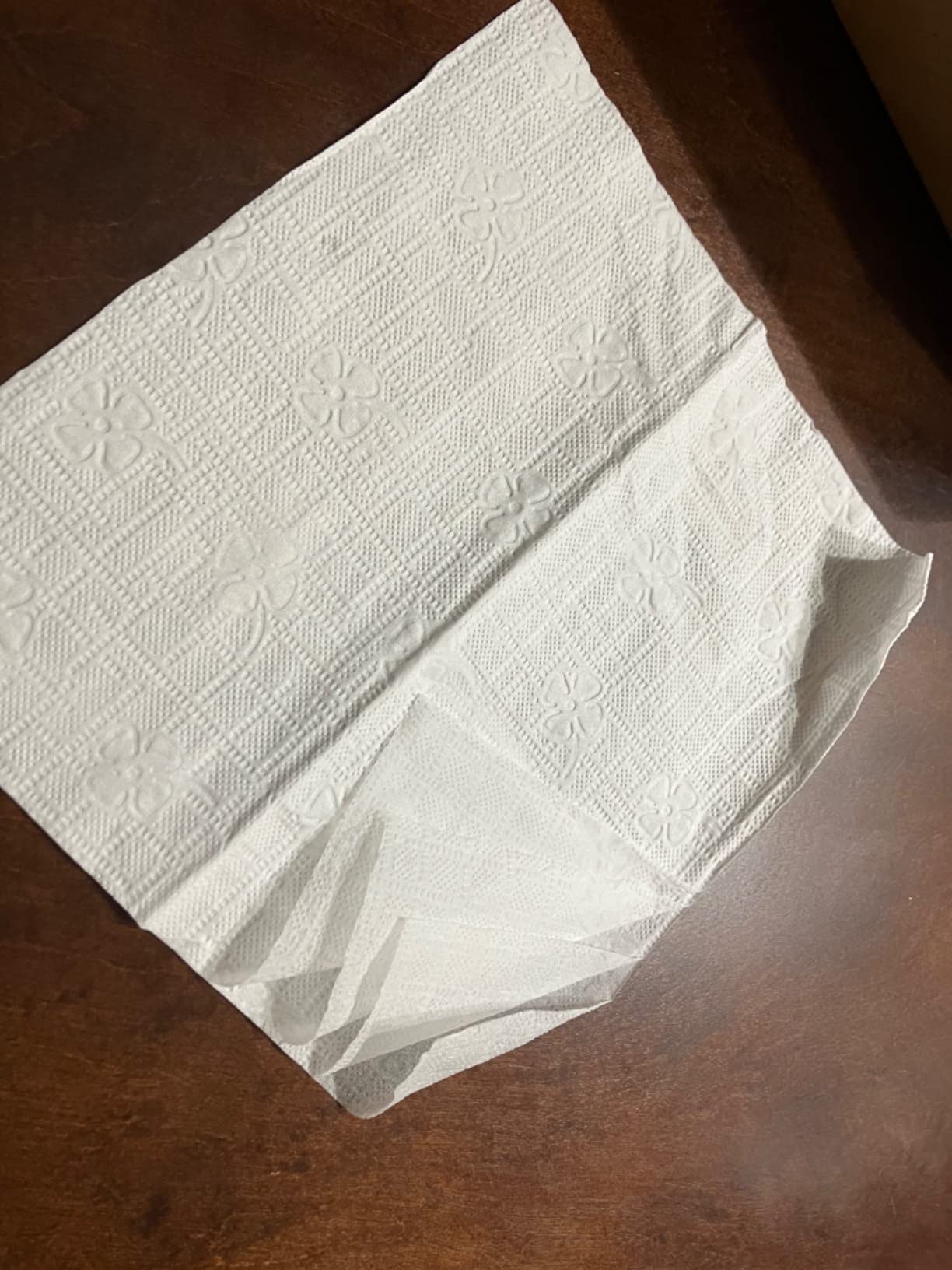 Septic Safe Tube Free Toilet Paper- 4-Ply, Quick-Dissolving, Biodegradable Tissue for RV, Campers & Marine Use- Mom-Approved Soft Toilet Paper for Kids, Seniors & Travel Adventures- 4 Boxes, 320 Wipes customer photo 1