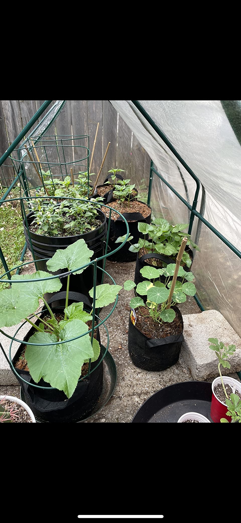 Minute Soil Block - Coco Coir - Compressed - Blocks & Bulk (1 Block) customer photo 1