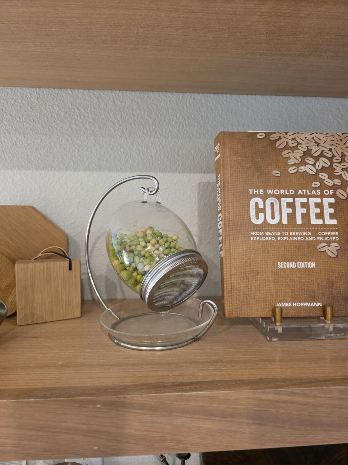 Premium Sprouting Jar Kit - Unique 30 oz Wide Mouth Sprouting Jar, Stand, Tray and 316 Stainless Screen Lid | Decorative Indoor Seed Sprouter and Germinator (1 Kit) customer photo 1