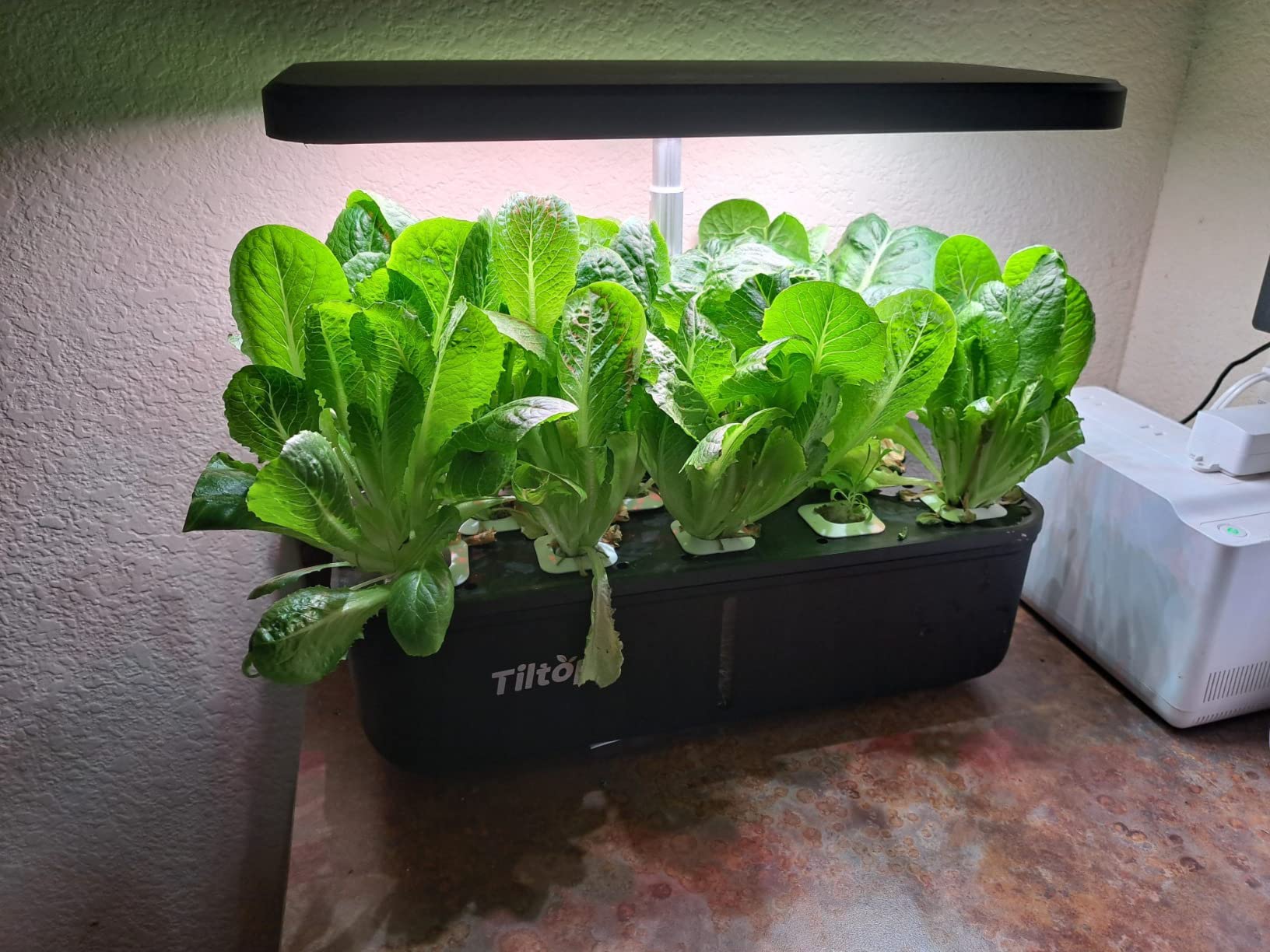 ENVY Hydroponic Plant Food A & B – Two-Part Liquid Nutrient for Indoor/Outdoor Plants – Soil, Coco, Hydroponics, DWC – Quart Set customer photo 1