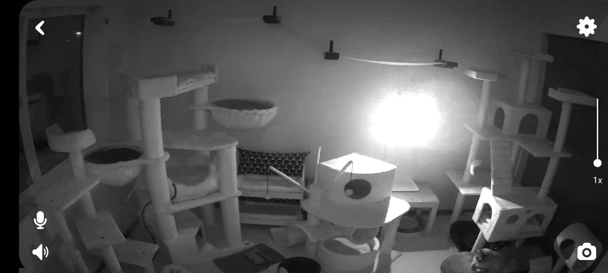 Petcube Cam – Indoor Wi-Fi Pet & Security Camera with App customer photo 2
