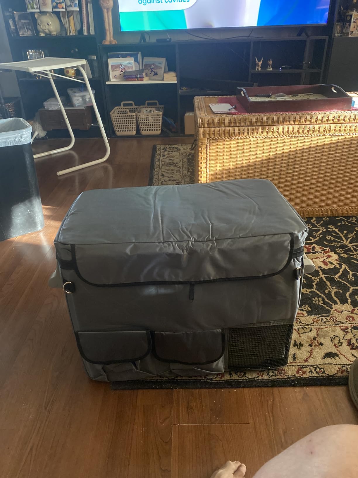 CF45 Insulated Protective Cover Insulated Transit Bag for Alpicool CF45, Euhomy 45Liter(48qt), AstroAI 48 Quart, VBENLEM 45L(48qt) Car Refrigerator customer photo 1